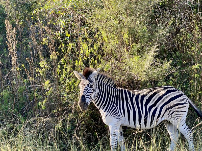 Vacant Land Residential For Sale In Pietermaritzburg - Photo 8