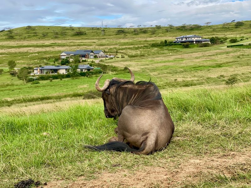 Vacant Land Residential For Sale In Pietermaritzburg - Photo 4