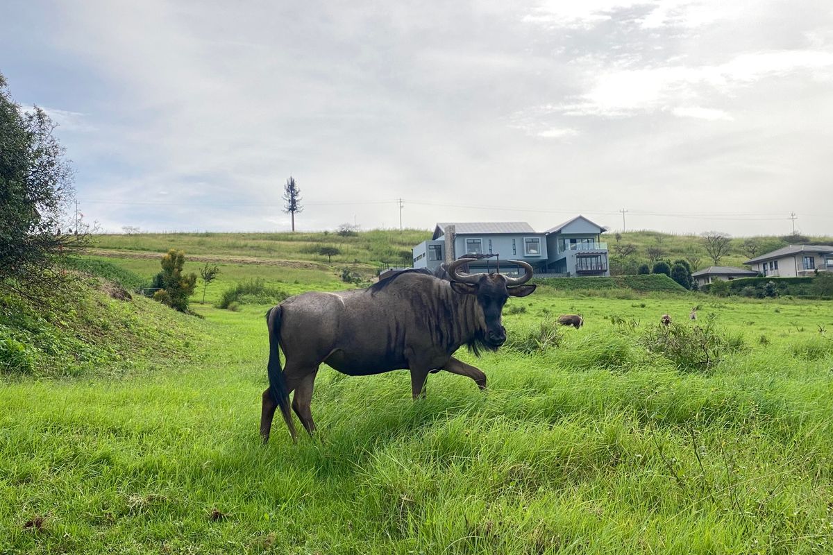 Vacant Land Residential For Sale In Pietermaritzburg - Photo 2