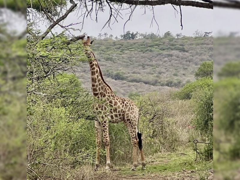 Vacant Land Residential For Sale In Pietermaritzburg - Photo 7