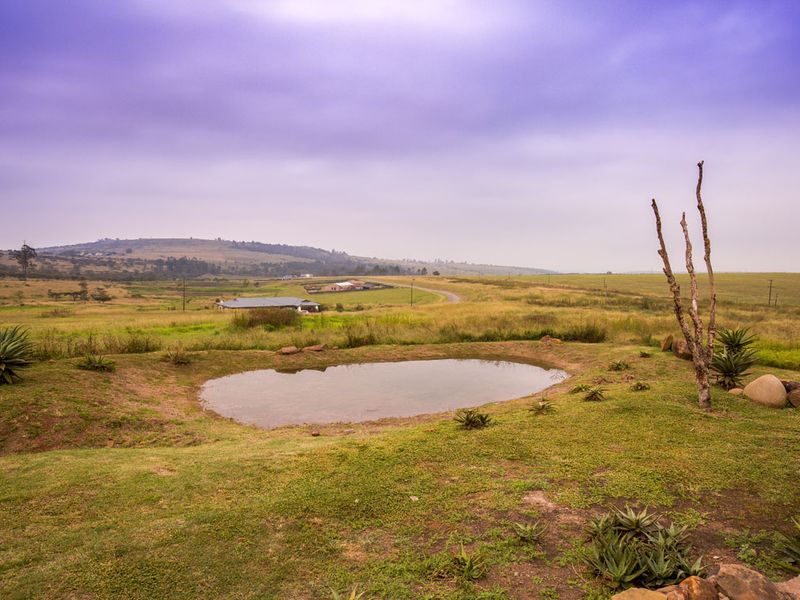 Vacant Land Residential For Sale In Pietermaritzburg - Photo 9