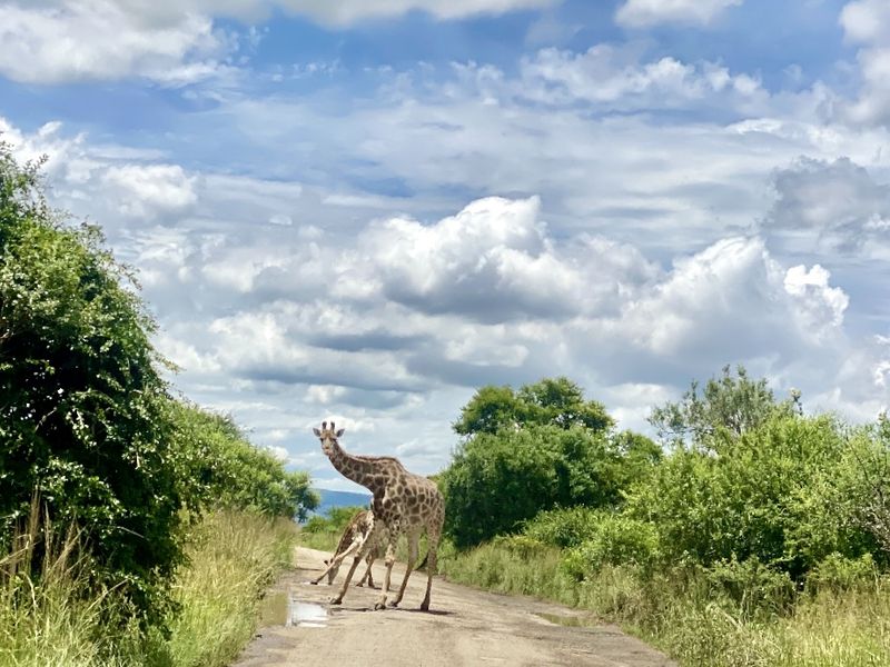 Vacant Land Residential For Sale In Pietermaritzburg - Photo 7