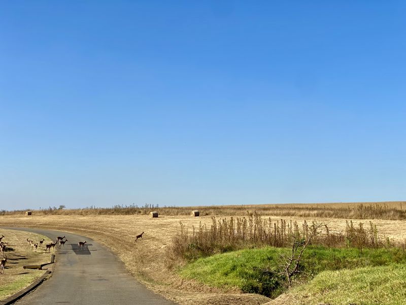 Vacant Land Residential For Sale In Pietermaritzburg - Photo 6