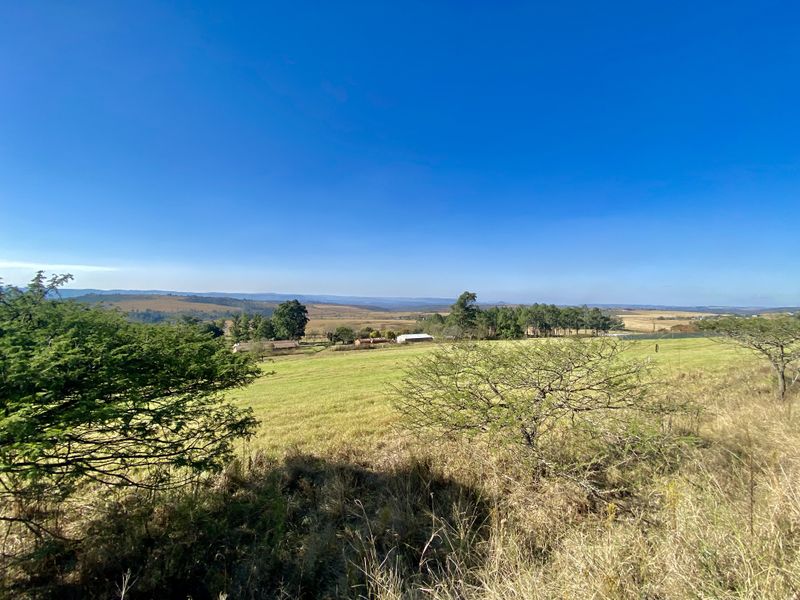 Vacant Land Residential For Sale In Pietermaritzburg - Photo 4