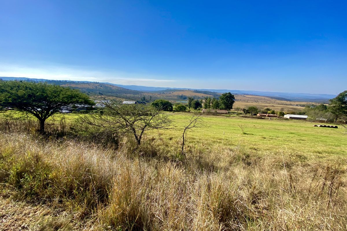 Vacant Land Residential For Sale In Pietermaritzburg - Photo 3