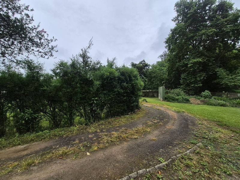 INVESTMENT OPPORTUNITY - Photo 6