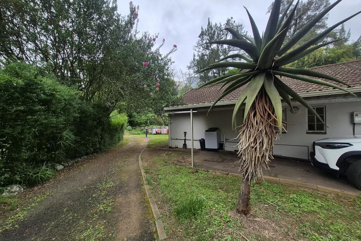 Rear exterior view of the property featuring a covered patio area, concrete driveway, and established garden surroundings.