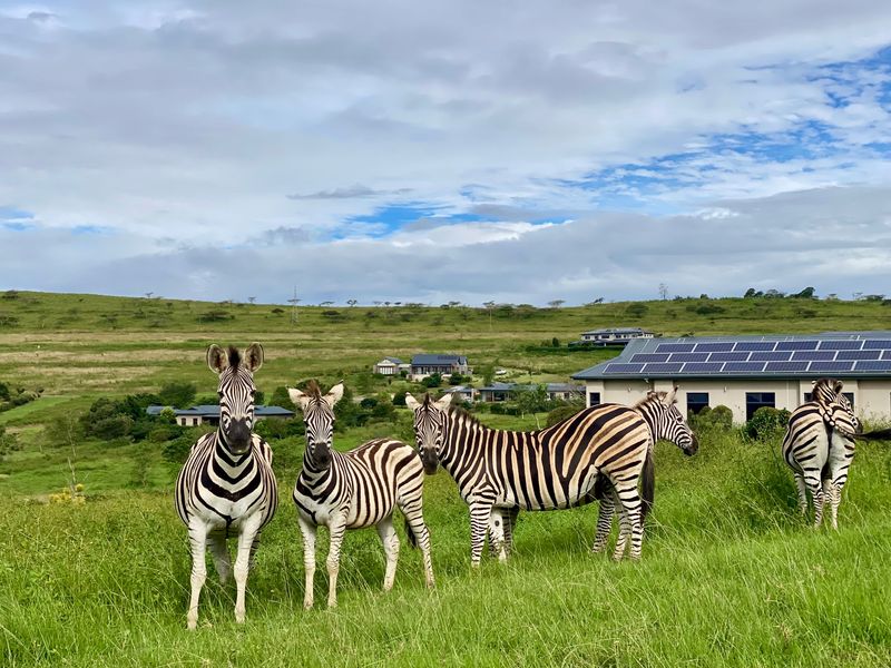 Vacant Land Residential For Sale In Pietermaritzburg - Photo 10