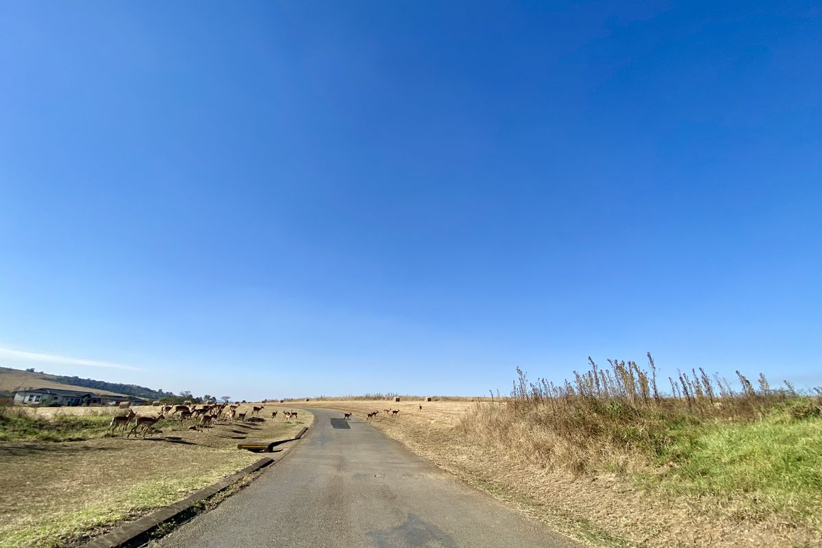 Vacant Land Residential For Sale In Pietermaritzburg - Photo 2