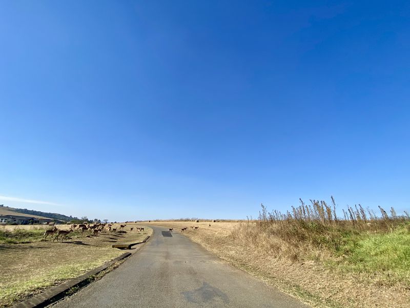 Vacant Land Residential For Sale In Pietermaritzburg - Photo 2