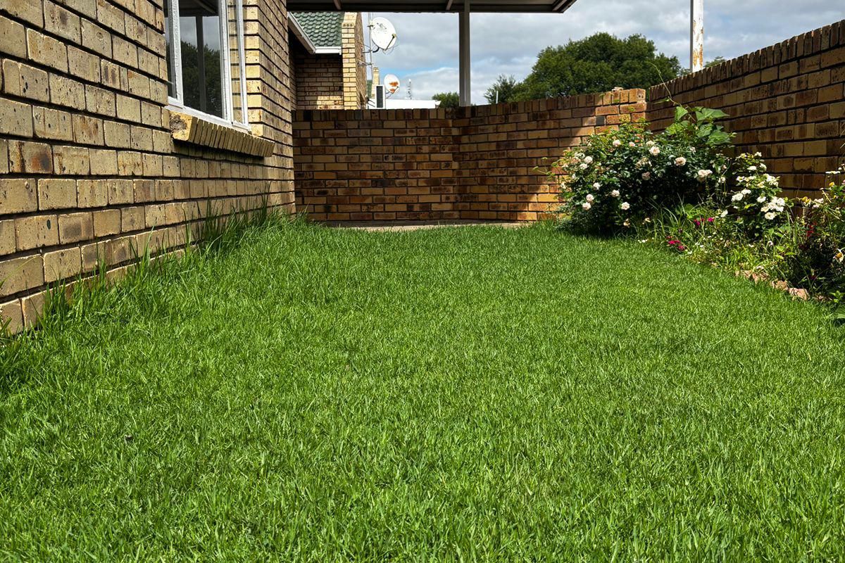 Low-maintenance gem in Aliwal North - Photo 3