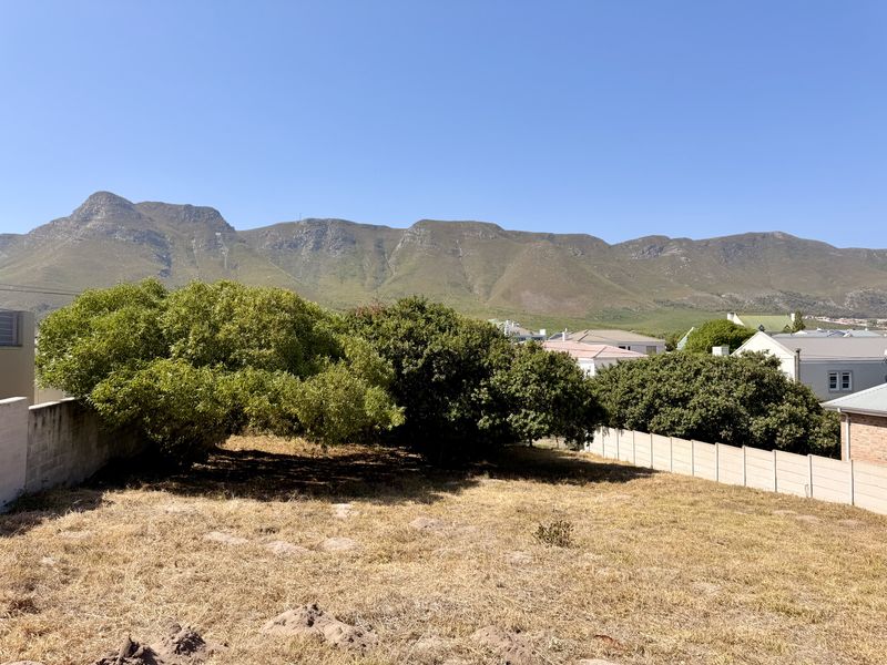 A view of the vacant residential plot featuring established trees and a mountain backdrop, enclosed by a precast concrete boundary wall.