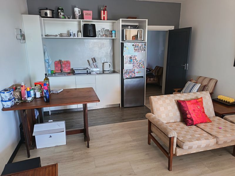 Open-plan living area featuring a compact kitchenette with built-in cabinetry, stainless steel sink, and light-toned laminate flooring throughout.