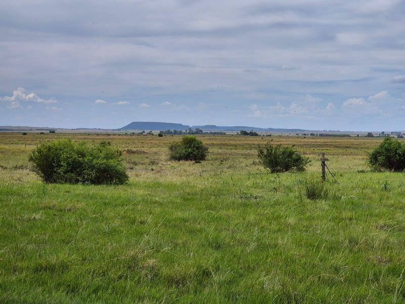 71 Ha Gemengde Soetgras naby Bloemfontein - Photo 10