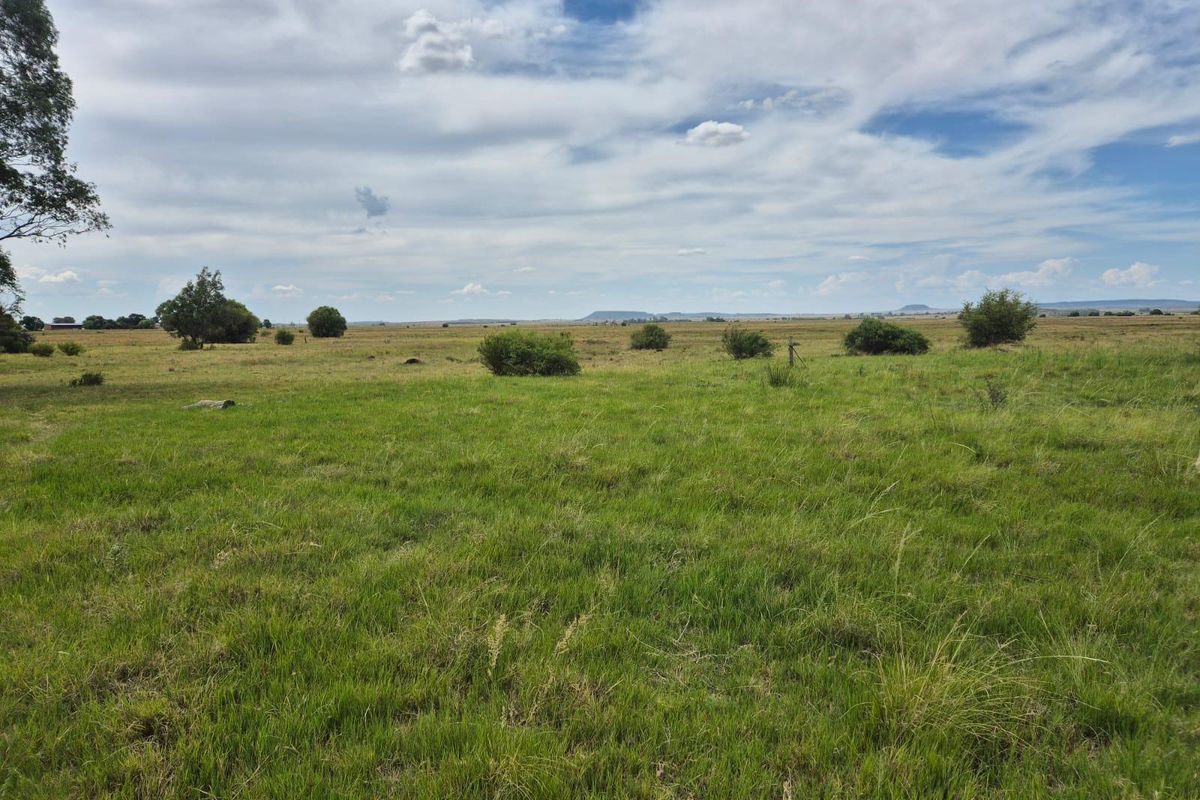 71 Ha Gemengde Soetgras naby Bloemfontein - Photo 2