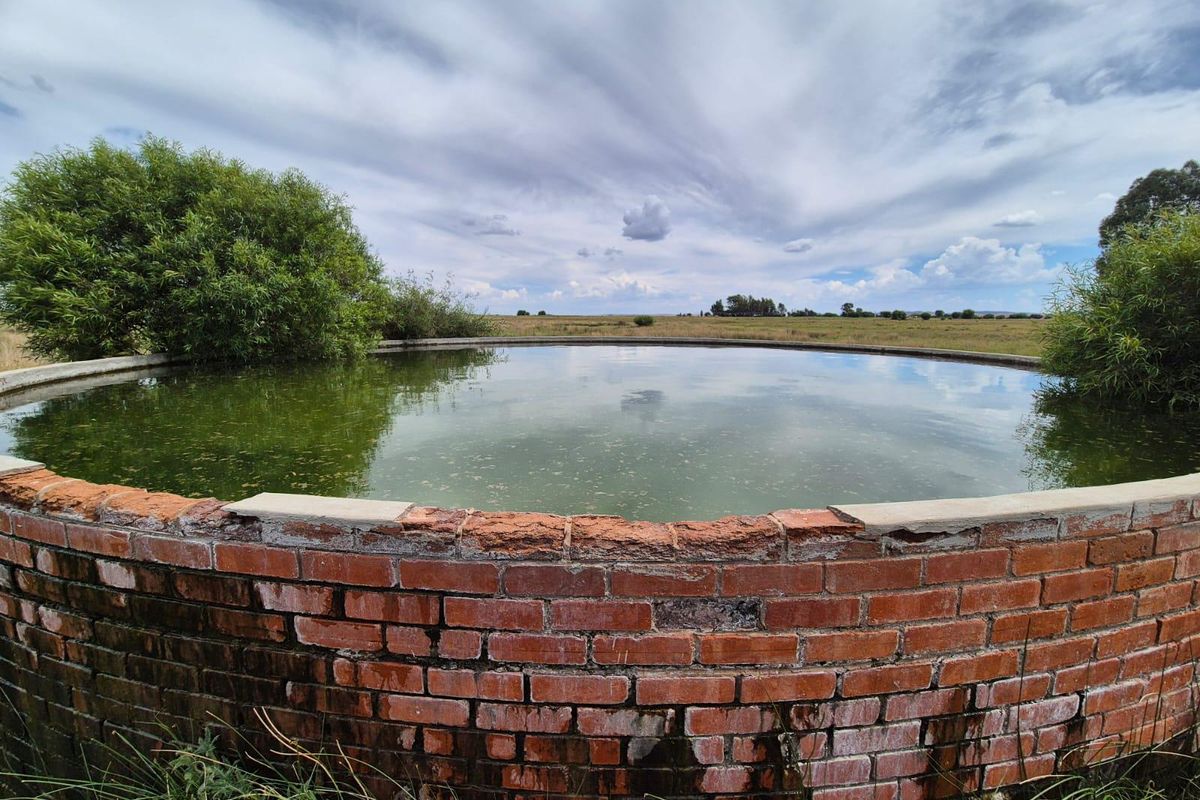 71 Ha Gemengde Soetgras naby Bloemfontein - Photo 4