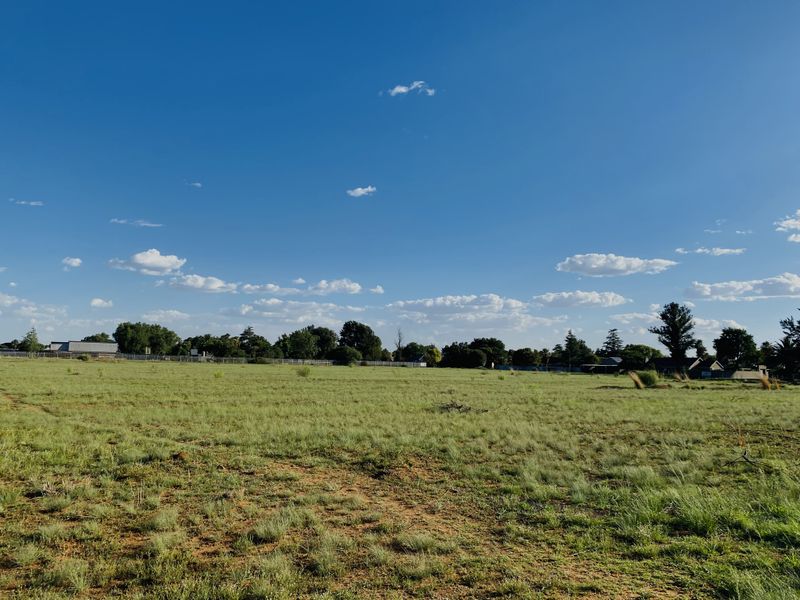 Land Investment Opportunity - Photo 6