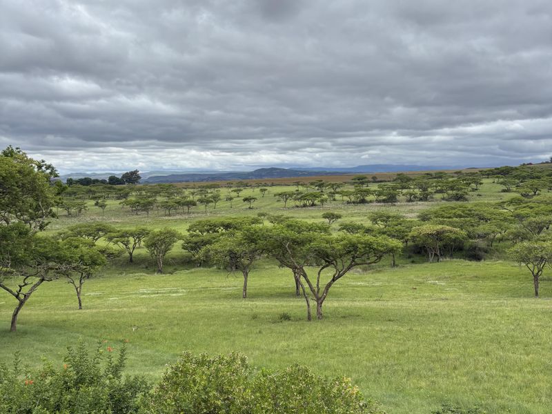 Drakensberg Retreat - Photo 9