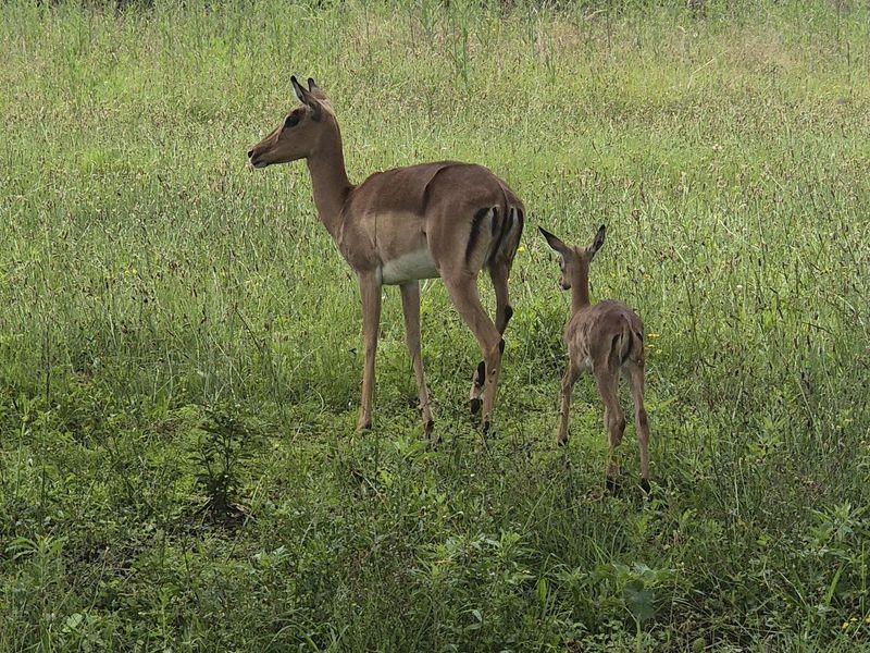 Drakensberg Retreat - Photo 7