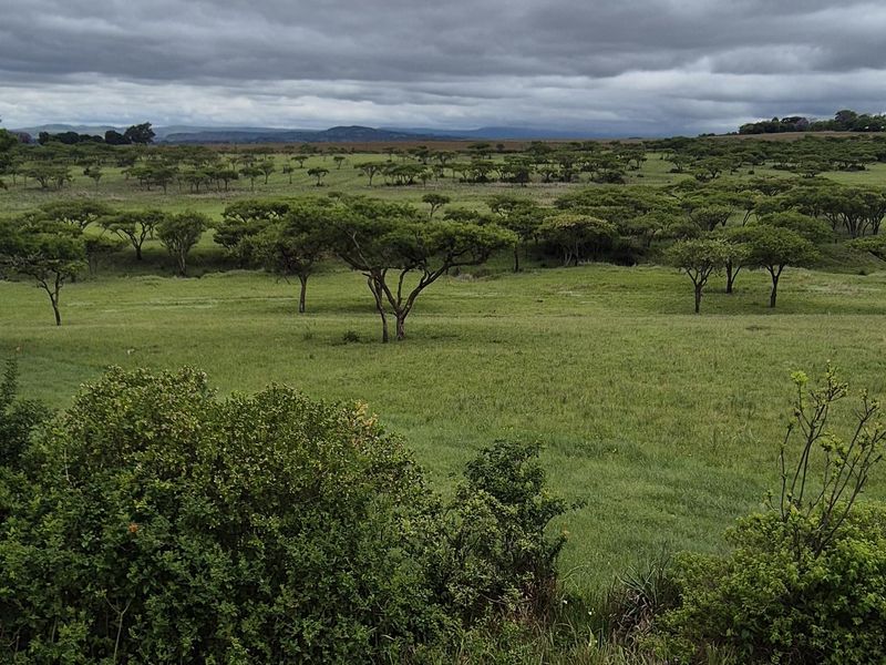 Drakensberg Retreat - Photo 6