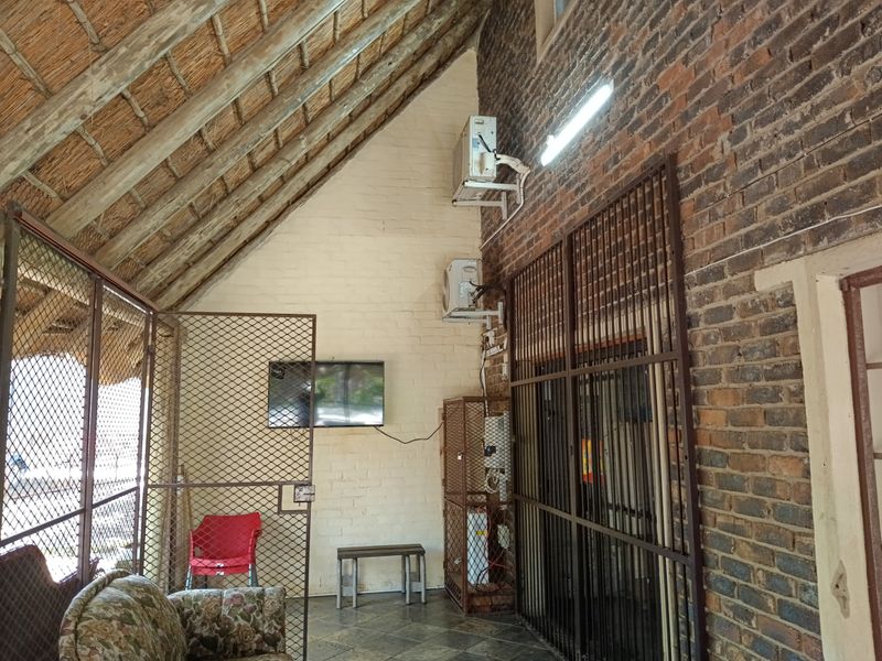 The Bush is alive and beautiful! - Photo 4