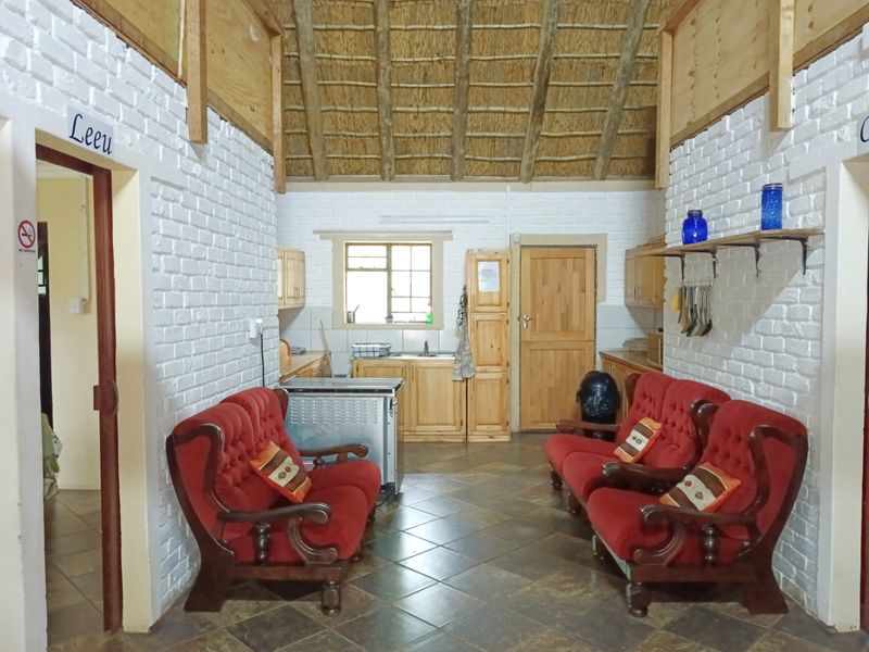 The Bush is alive and beautiful! - Photo 5