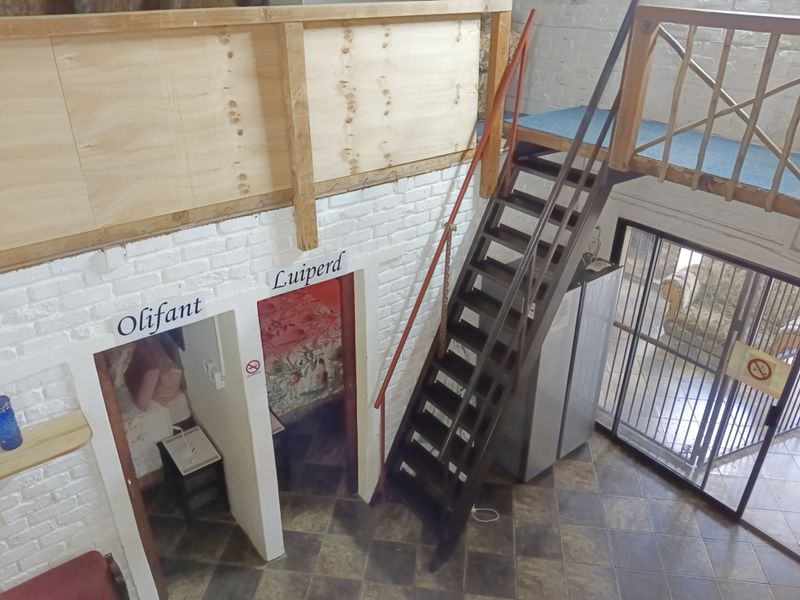 The Bush is alive and beautiful! - Photo 6