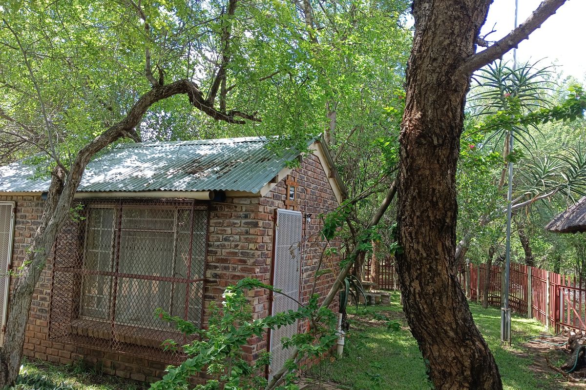 The Bush is alive and beautiful! - Photo 2