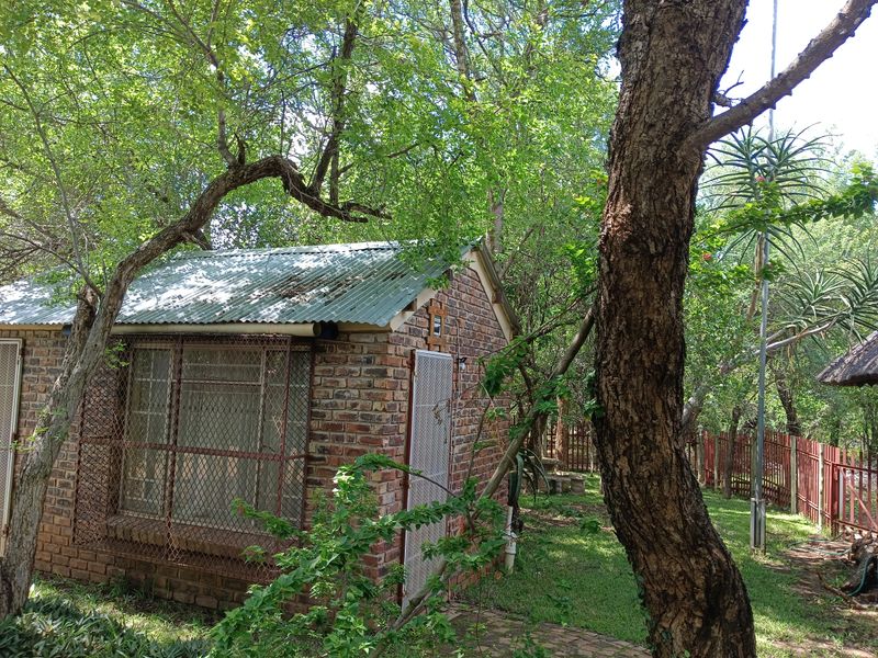 The Bush is alive and beautiful! - Photo 2