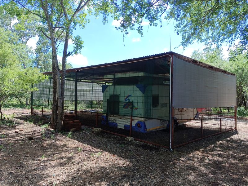 The Bush is alive and beautiful! - Photo 3