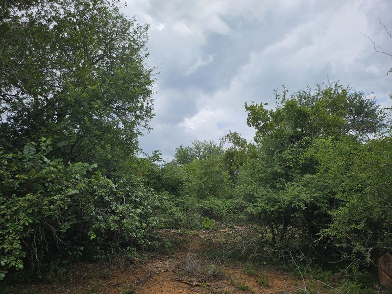 Build your Dream Home! - Photo 5