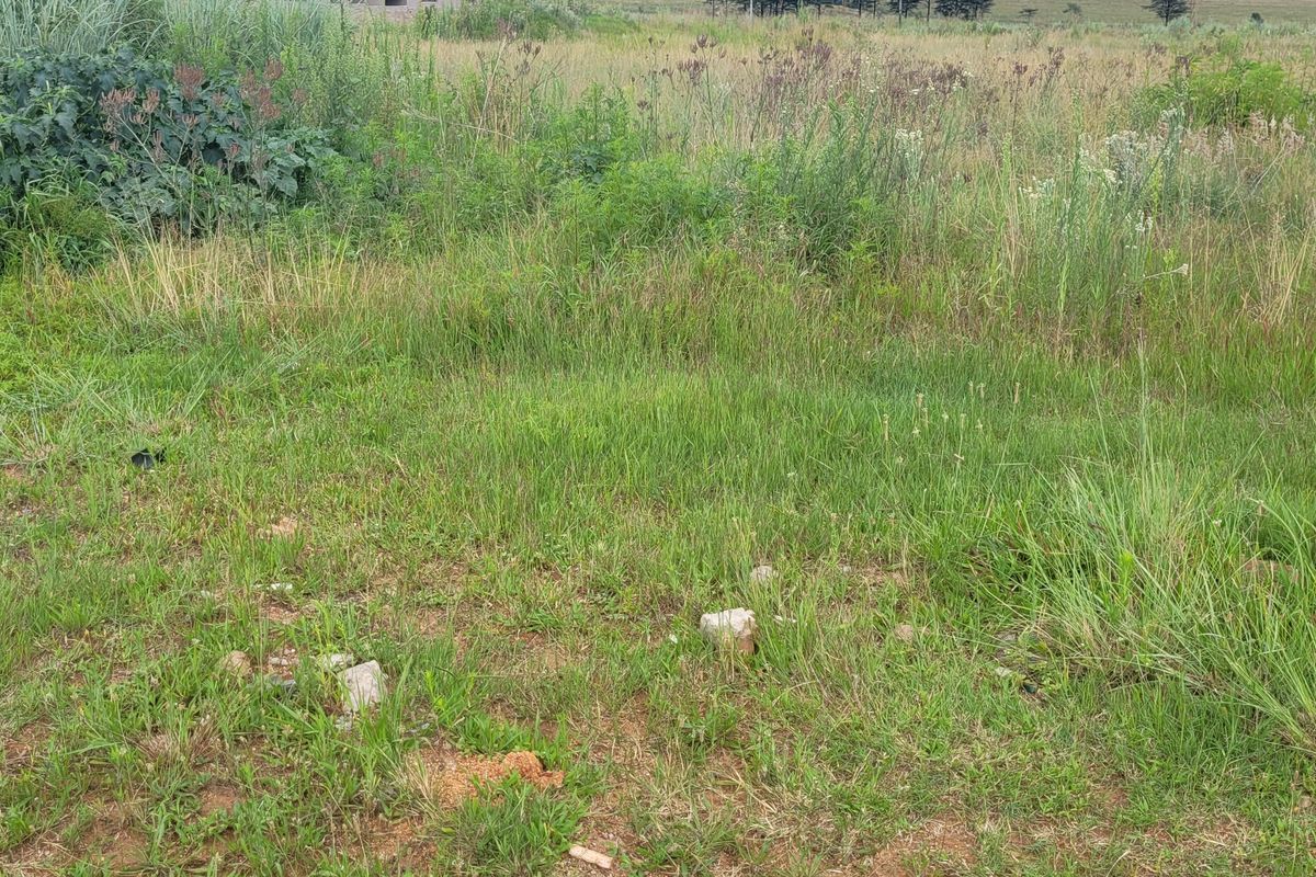 Prime Location! - Photo 2