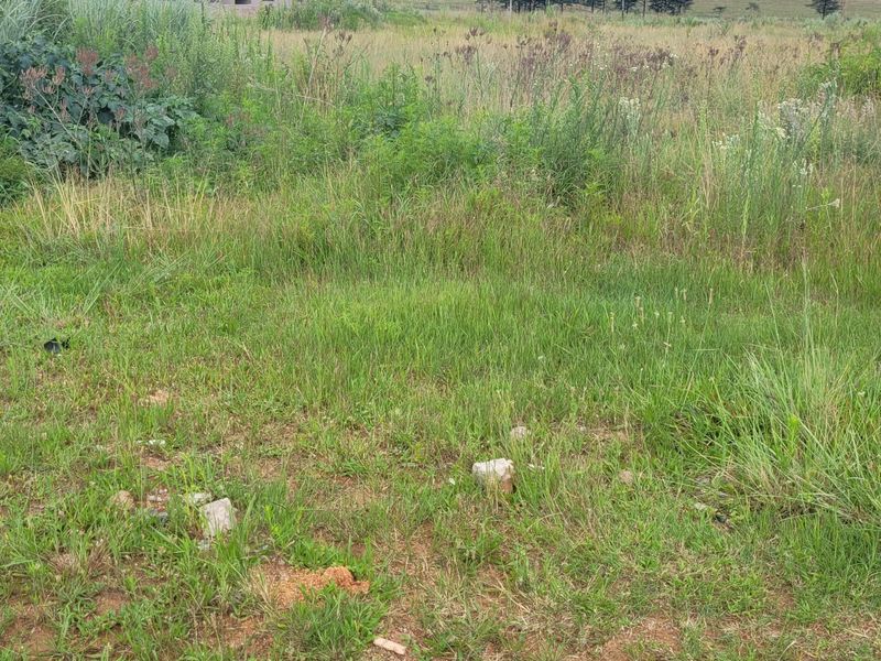 Prime Location! - Photo 2