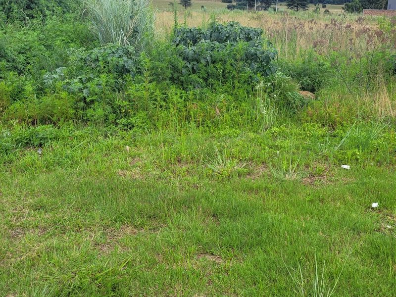 Prime Location! - Photo 1