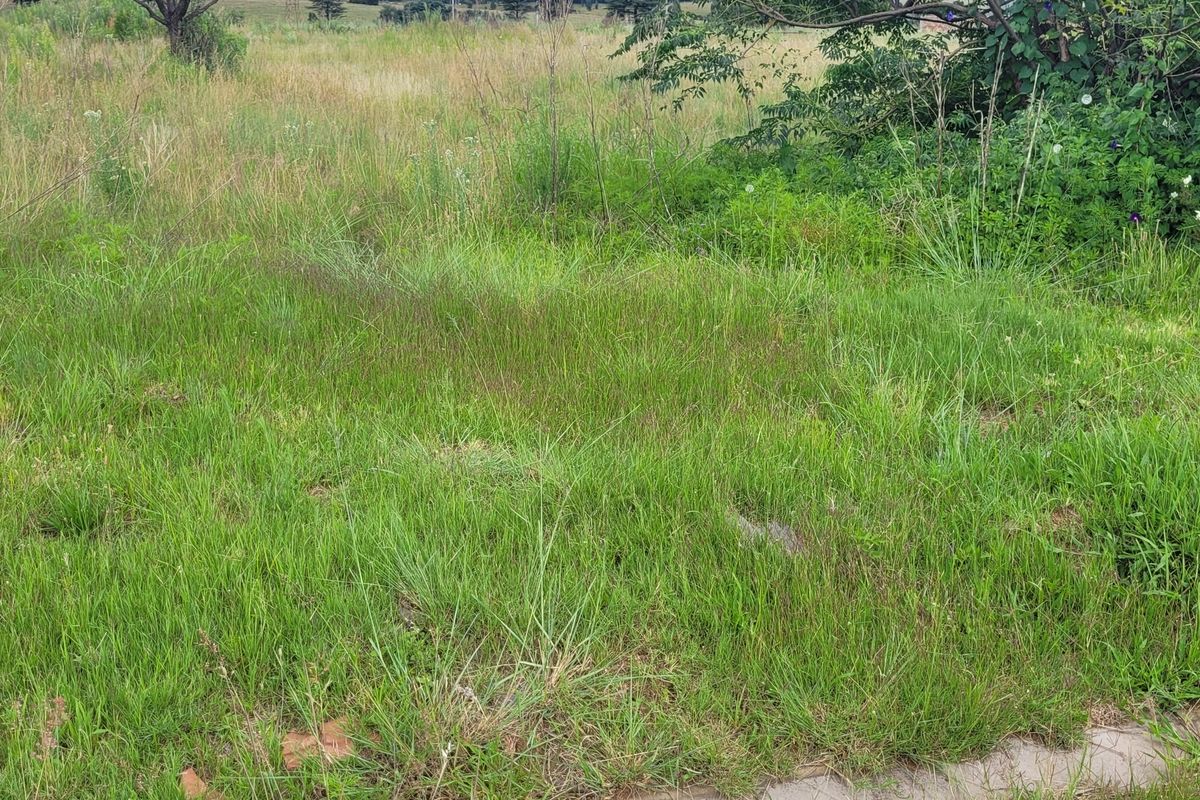 Prime Location! - Photo 3