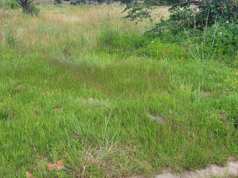 Prime Location! - Photo 3