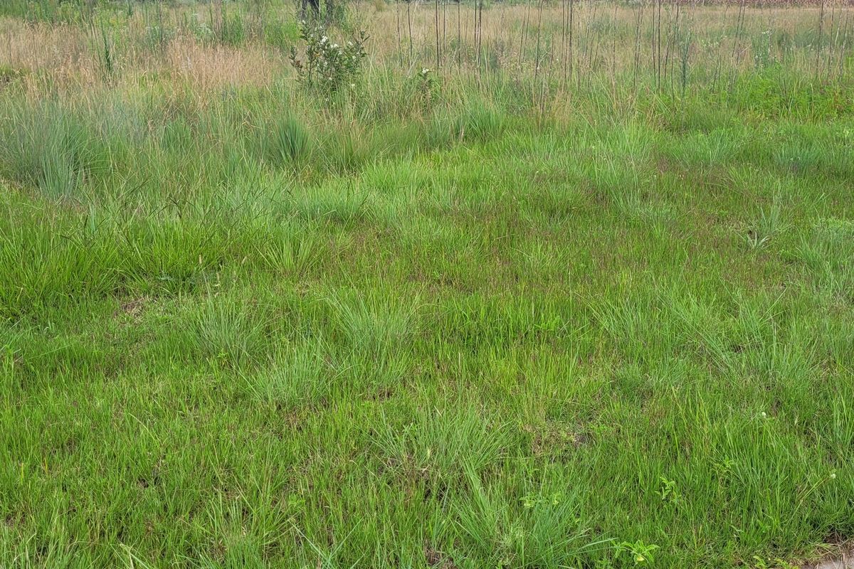 Prime Location! - Photo 4
