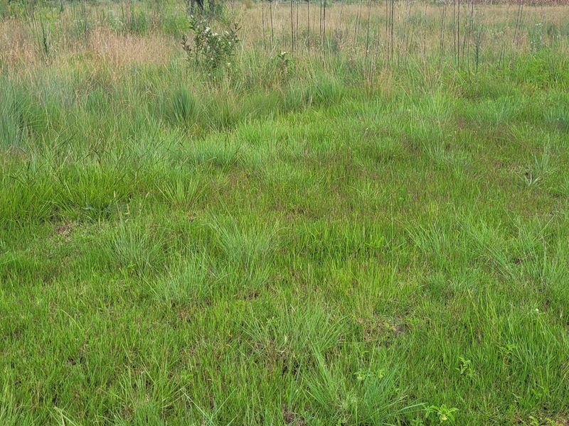Prime Location! - Photo 4