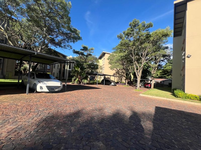 A GREAT START! - Photo 6