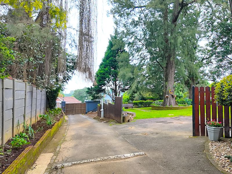 A spacious front entrance featuring a long asphalt driveway, mature trees, and secure boundary fencing, providing a private and established approach to the property.