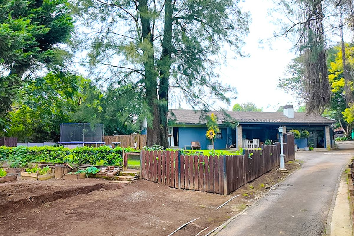 Rear view of the property featuring a paved driveway, timber fencing, raised garden beds, and a covered patio area.