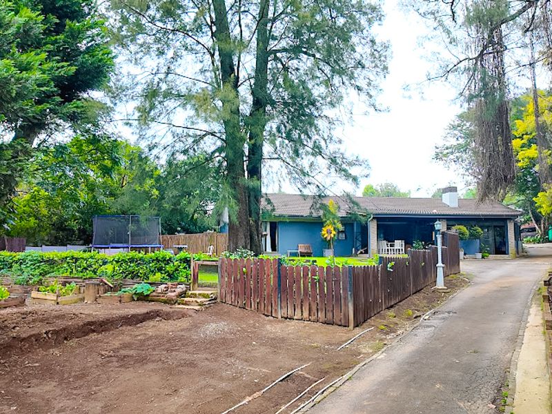 Rear view of the property featuring a paved driveway, timber fencing, raised garden beds, and a covered patio area.