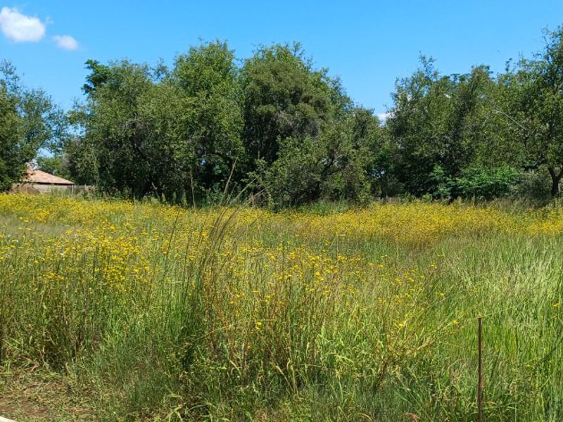 FOR YOUR DREAM HOME! - Photo 9