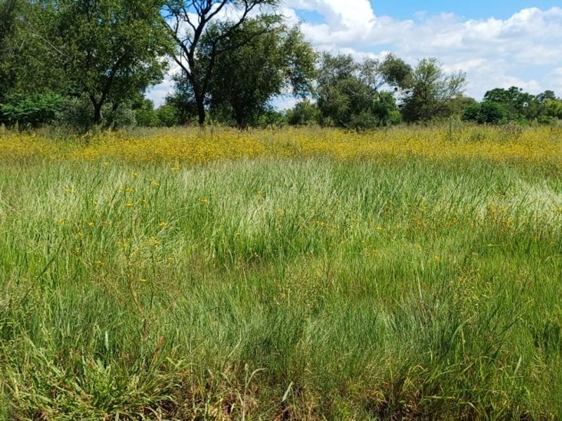 FOR YOUR DREAM HOME! - Photo 8