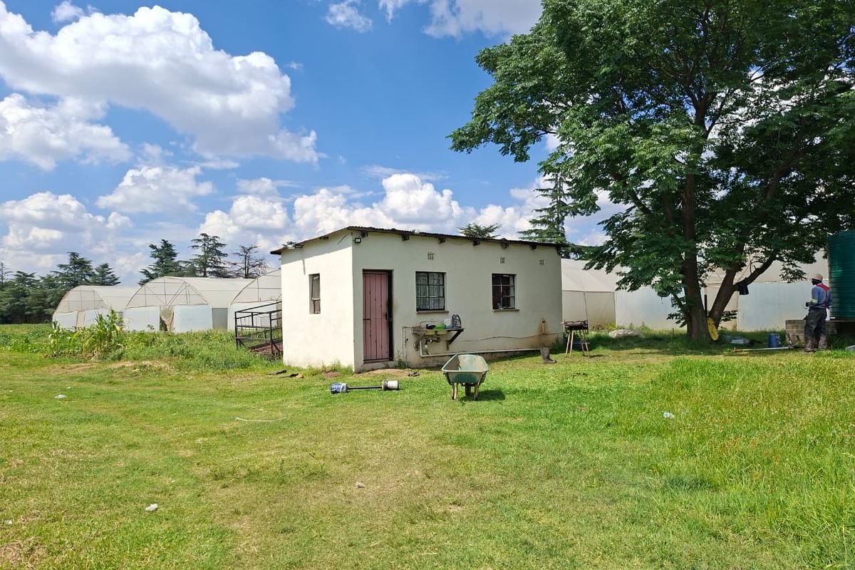 Luxury Estate with Multiple Revenue Streams - Photo 5