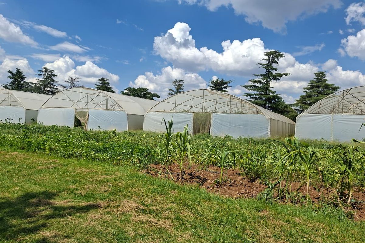 Luxury Estate with Multiple Revenue Streams - Photo 3