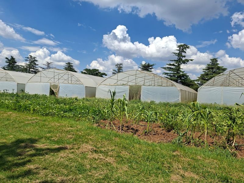 Luxury Estate with Multiple Revenue Streams - Photo 3