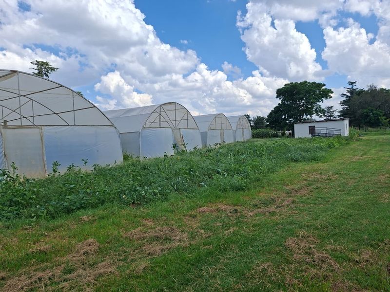 Luxury Estate with Multiple Revenue Streams - Photo 7