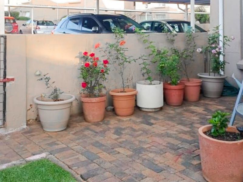 Ground Floor Gem With Private Garden - Photo 10