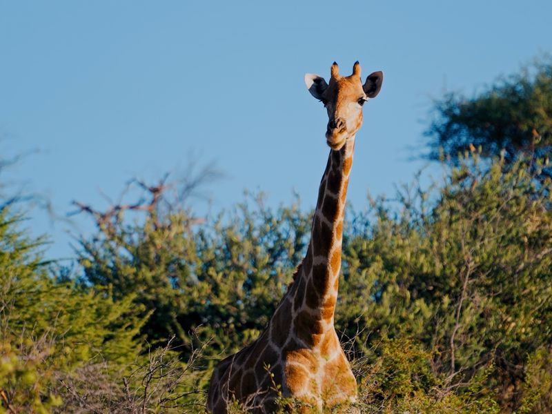 Claim one of the 3 remaining stands in this piece of paradise. - Photo 2